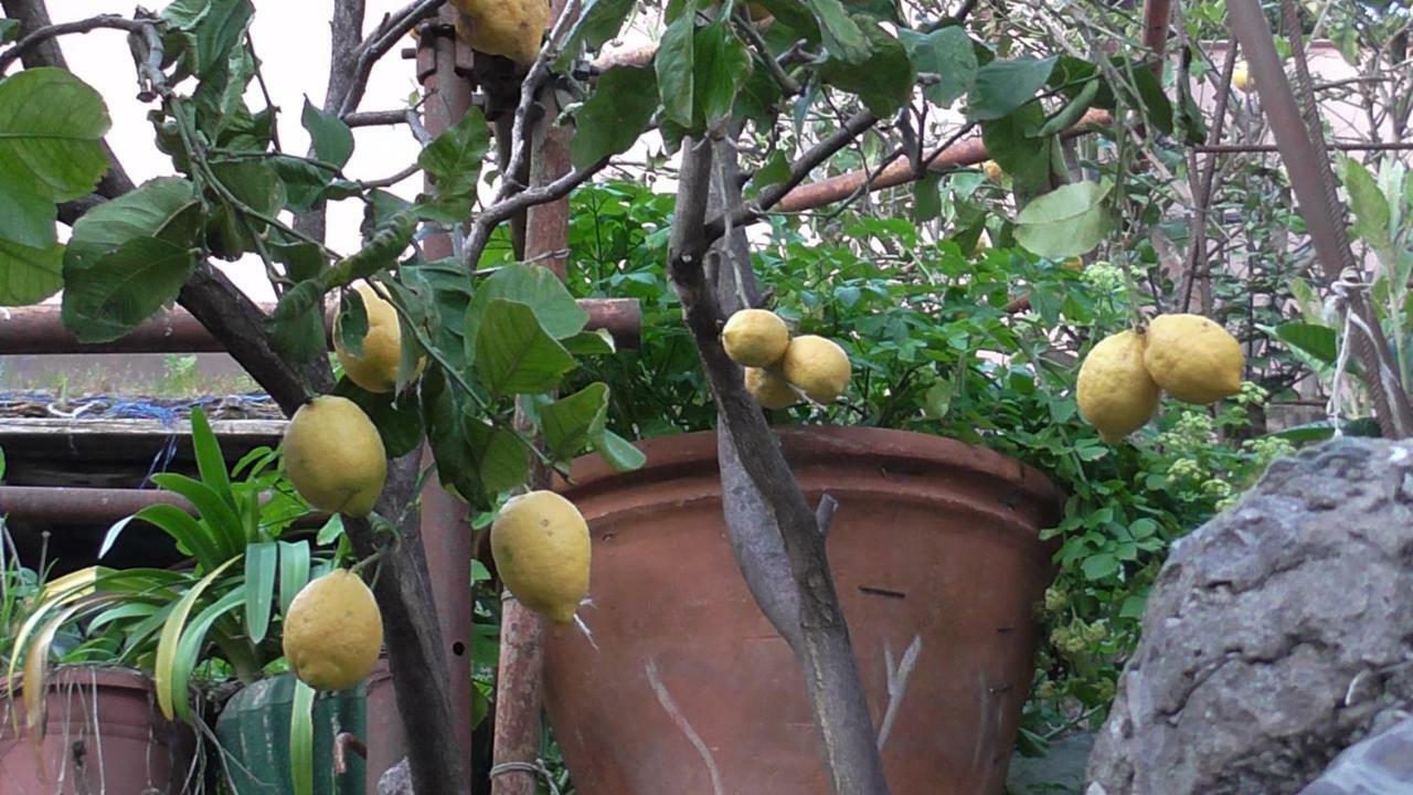 Apartamento Il Golfo E I Limoni La Spezia Exterior foto